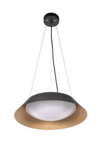 DOTLUX Pendelset f.DESIGNreflektor  6498 