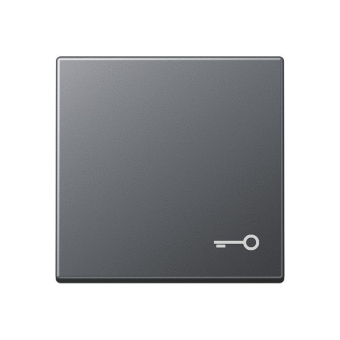 Jung Wippe Symbol Tür         A590BFTANM 