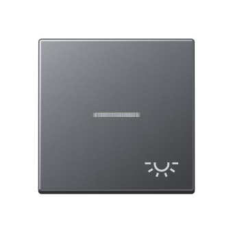 Jung Wippe Symbol Licht    A590BFKO5LANM 