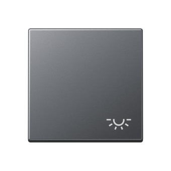 Jung Wippe Symbol Licht       A590BFLANM 