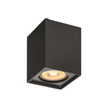 SLV ALTRA DICE CL Indoor Wand-   1002216 