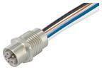 Murrelektronik M12    7000-P4291-9800150 