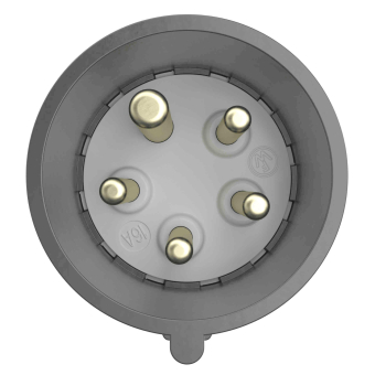 Walther CEE NEO Stecker       FW210501CC 