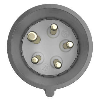 Walther CEE NEO Stecker 16A   FW211502SK 