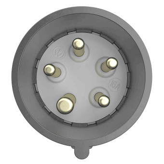 Walther CEE NEO Stecker       FW231506PH 