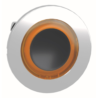 Schneider Frontelement          ZB4FW953 