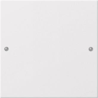 GIRA 218127 Wippenset 1fach System 55 