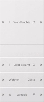 GIRA 220403 Wippenset 4fach (1+3) 