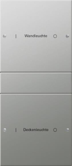 GIRA 2132602 Wippenset 2fach (1+1) 