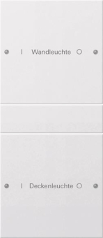 GIRA 220203 Wippenset 2fach (1+1) 