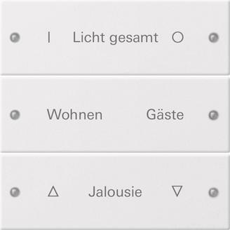 GIRA 220327 Wippenset 3fach beschreibbar 