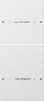 GIRA 220227 Wippenset 2fach (1+1) 