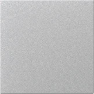 GIRA 349626 Wippe gerade System 55 