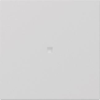 GIRA 3490015 Wippe gerade Kontroll- 