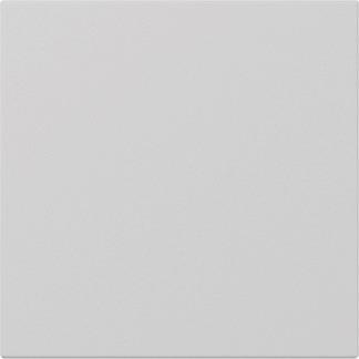 GIRA 3496015 Wippe gerade System 55 