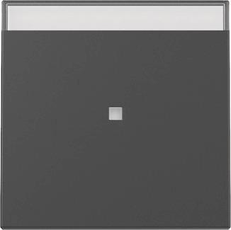 GIRA 3670005 Wippe Kontrollfenster+BSF 