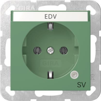 GIRA 4452107 SCHUKO-Steckdose Kontroll 