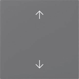 GIRA 361628 Wippe Pfeile System 55 