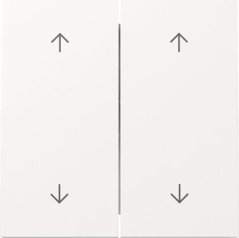 GIRA 329770 Wippe 2f Pfeile 