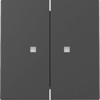 GIRA 3631005 Wippe 2fach Kontrollfenster 