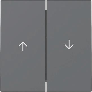 GIRA 329428 Wippe 2fach Pfeil System 55 