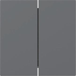 GIRA 349528 Wippe 2fach gerade System 55 