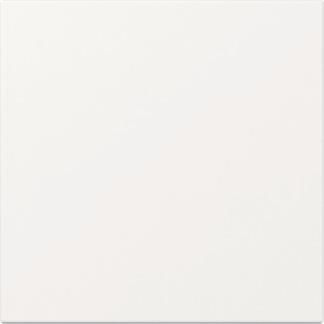 GIRA 349603 Wippe gerade System 55 