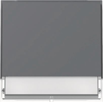 GIRA 329967 Wippe Beschriftungsfeld 