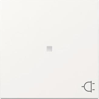 GIRA 329103 Wippe Kontrollfenster+Symbol 