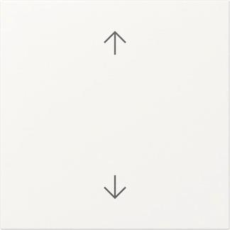 GIRA 361627 Wippe Pfeile System 55 