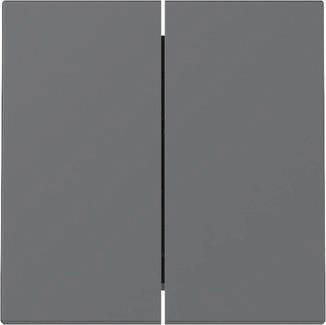 GIRA 329528 Wippe 2fach System 55 