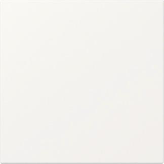 GIRA 349627 Wippe gerade System 55 