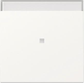 GIRA 367027 Wippe Kontrollfenster+BSF 