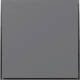 GIRA 349667 Wippe gerade TX_44 Anthrazit 