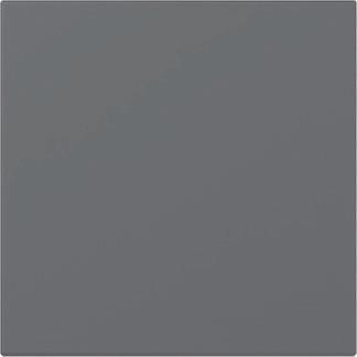 GIRA 349628 Wippe gerade System 55 