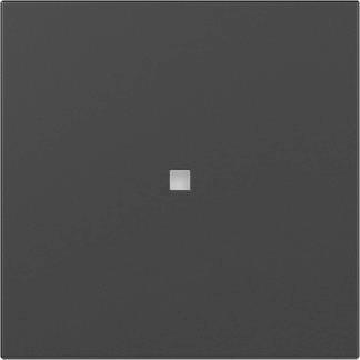 GIRA 3490005 Wippe gerade Kontroll- 