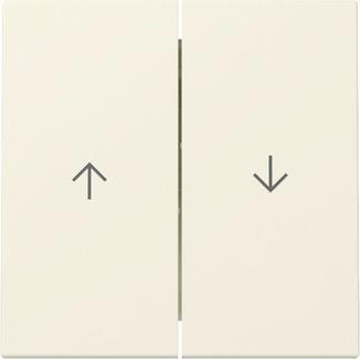 GIRA 329401 Wippe 2fach Pfeil System 55 