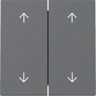 GIRA 329728 Wippe 2fach Pfeile 