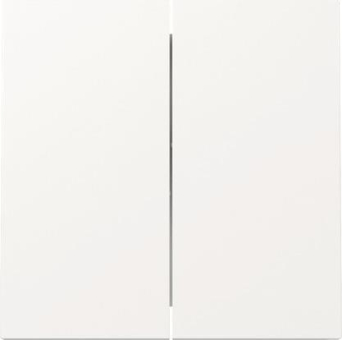 GIRA 329570 Wippe 2f Flächenschalter 