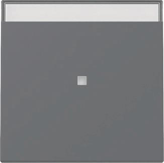 GIRA 367028 Wippe Kontrollfenster+BSF 