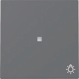 GIRA 367428 Wippe Kontrollfenster+Symbol 