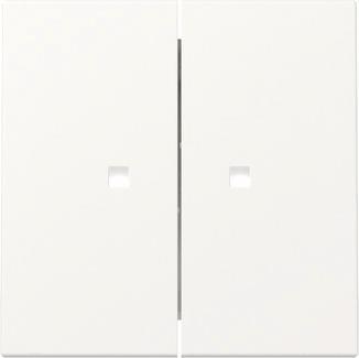 GIRA 363127 Wippe 2fach Kontrollfenster 