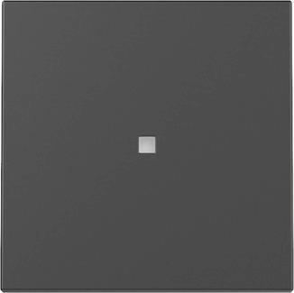 GIRA 3290005 Wippe Kontrollfenster 