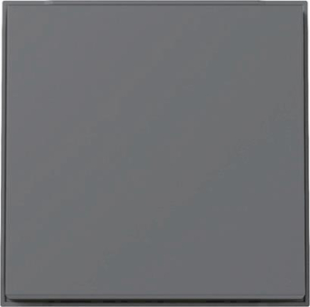 GIRA 329667 Wippe TX_44 WG UP Anthrazit 