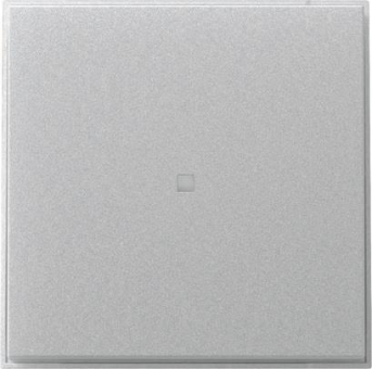 GIRA 349065 Wippe gerade Kontrollfenster 