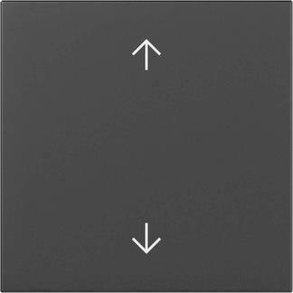 GIRA 3616005 Wippe Pfeile System 55 