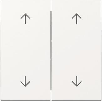 GIRA 329703 Wippe 2fach Pfeile 