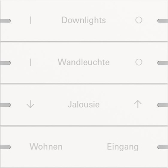 GIRA 5034927 Wippenset 4fach indiv. 