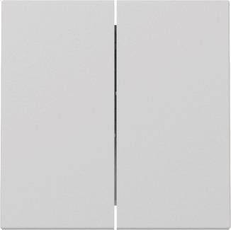 GIRA 3295015 Wippe 2fach System 55 