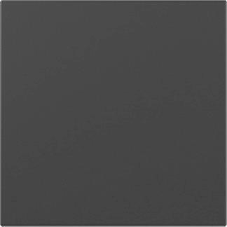 GIRA 3496005 Wippe gerade System 55 